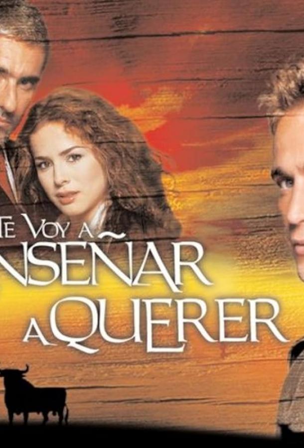 Я научу тебя любить (2004) онлайн бесплатно